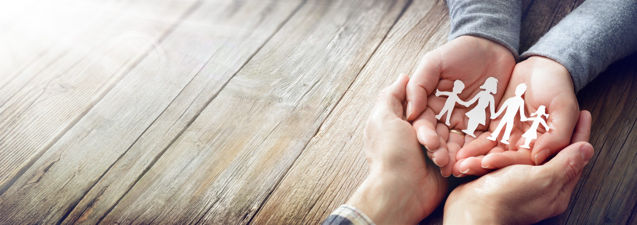 Protect Your Family’s Financial Future Protect Your Family’s Financial Future